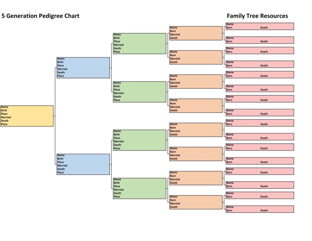 Pedigree Chart